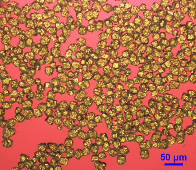 Microscopic gold crystals scattered on a pink background, with a scale marker indicating 50 micrometers.